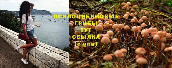 ALPHA-PVP Армянск